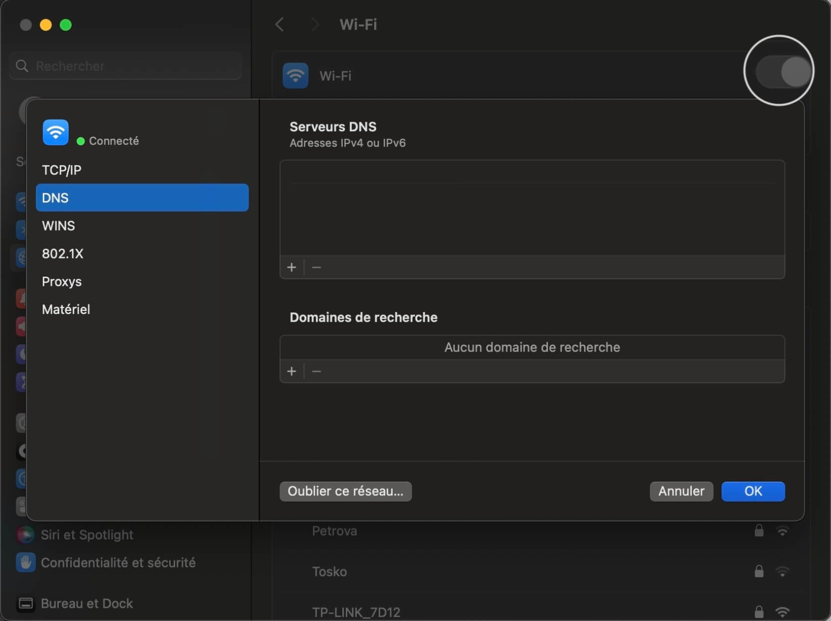 Une capture d'écran de la page Détails du réseau sur MacOS où vous pouvez ajouter ou supprimer des paramètres DNS pour votre réseau.