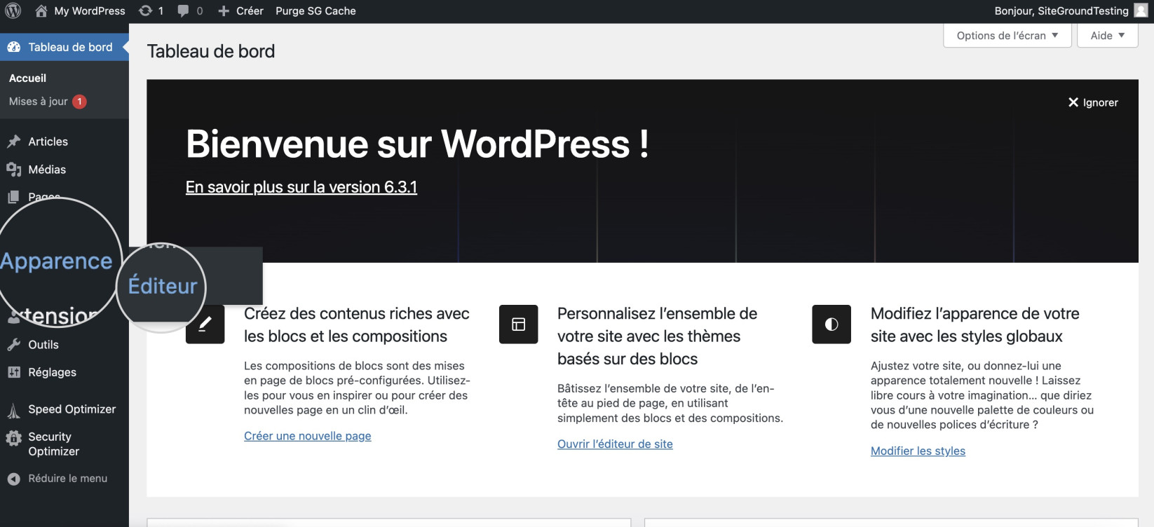 Capture d'écran montrant comment accéder à l'éditeur de site WordPress