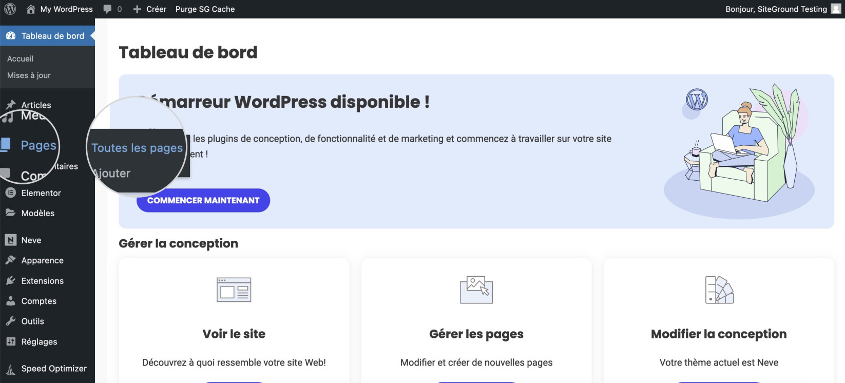 Capture d’écran montrant comment accéder à Toutes les pages dans votre tableau de bord WordPress