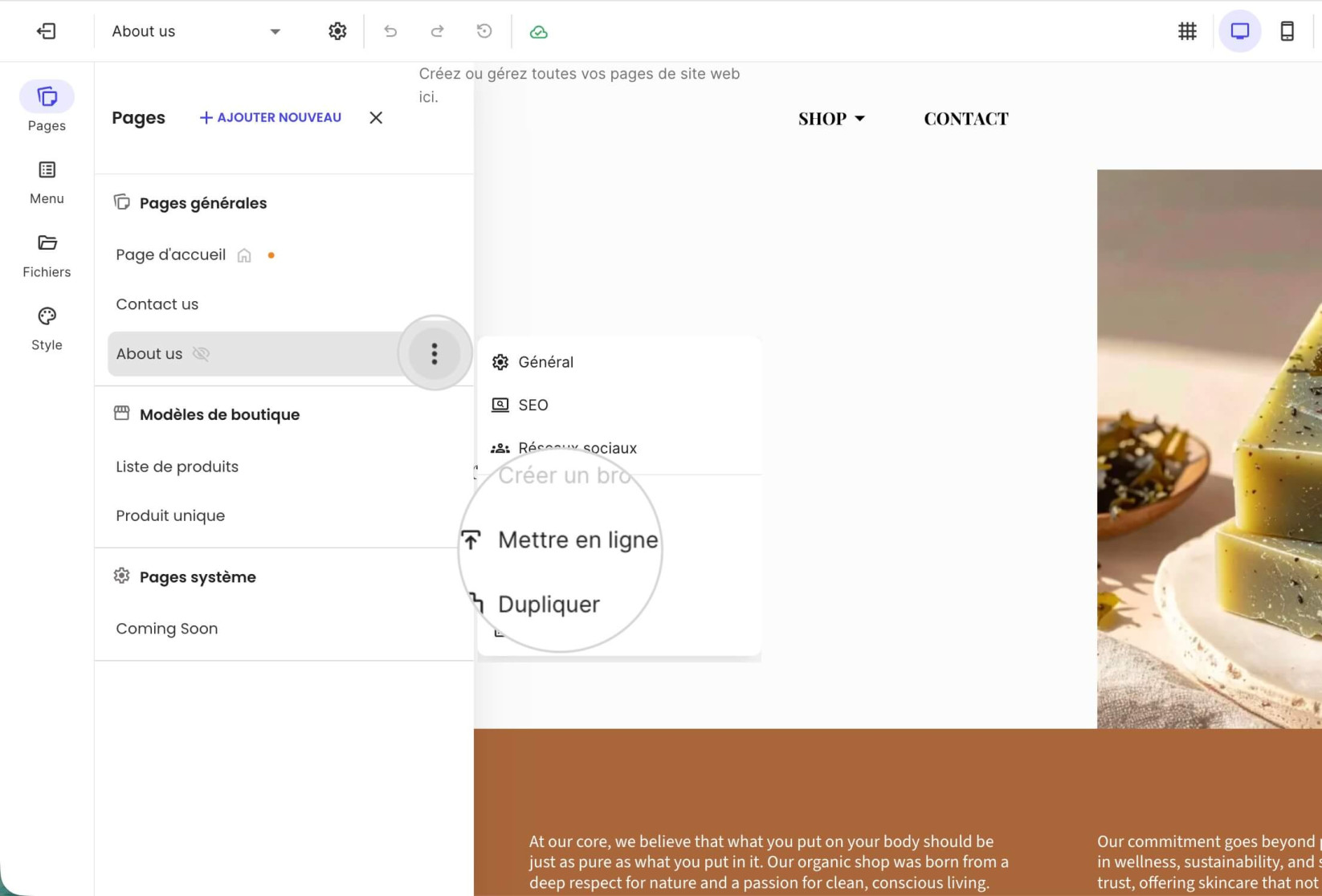 Activation d'une page avec l'option Mettre en ligne dans le Website Builder