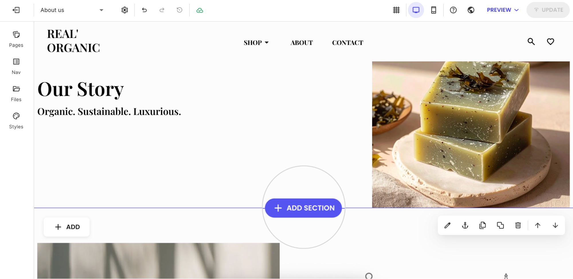 Website Builder page editor displaying the Add Section button between content blocks, allowing users to insert predefined layout sections