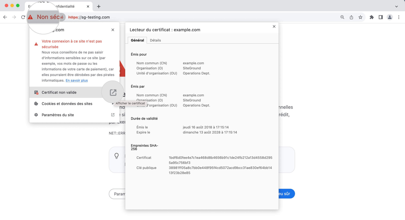 Consultez les détails du certificat lorsque Chrome affiche « Votre connexion n’est pas privée »
