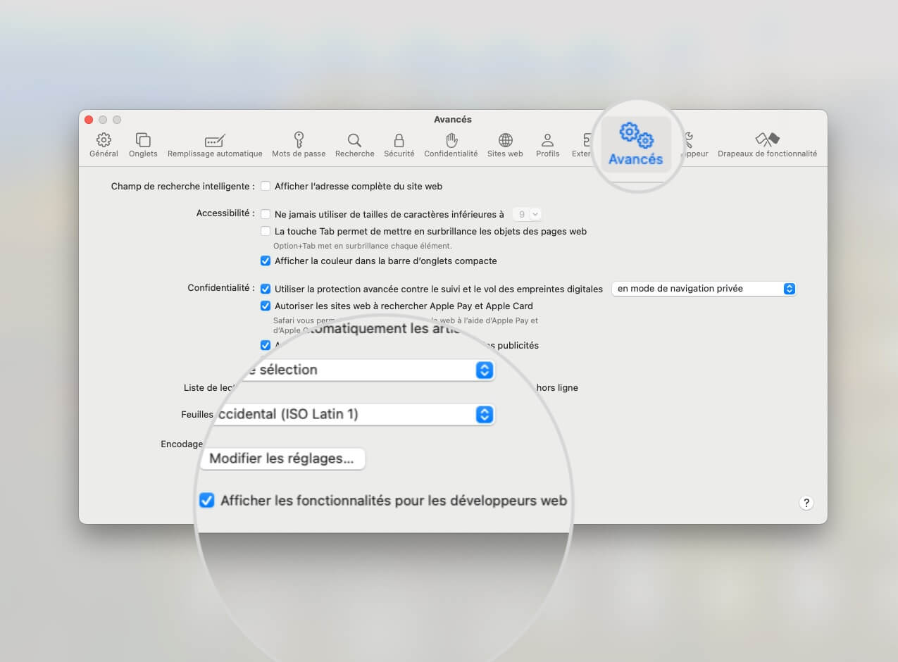Afficher les fonctionnalités pour les développeurs web dans Safari