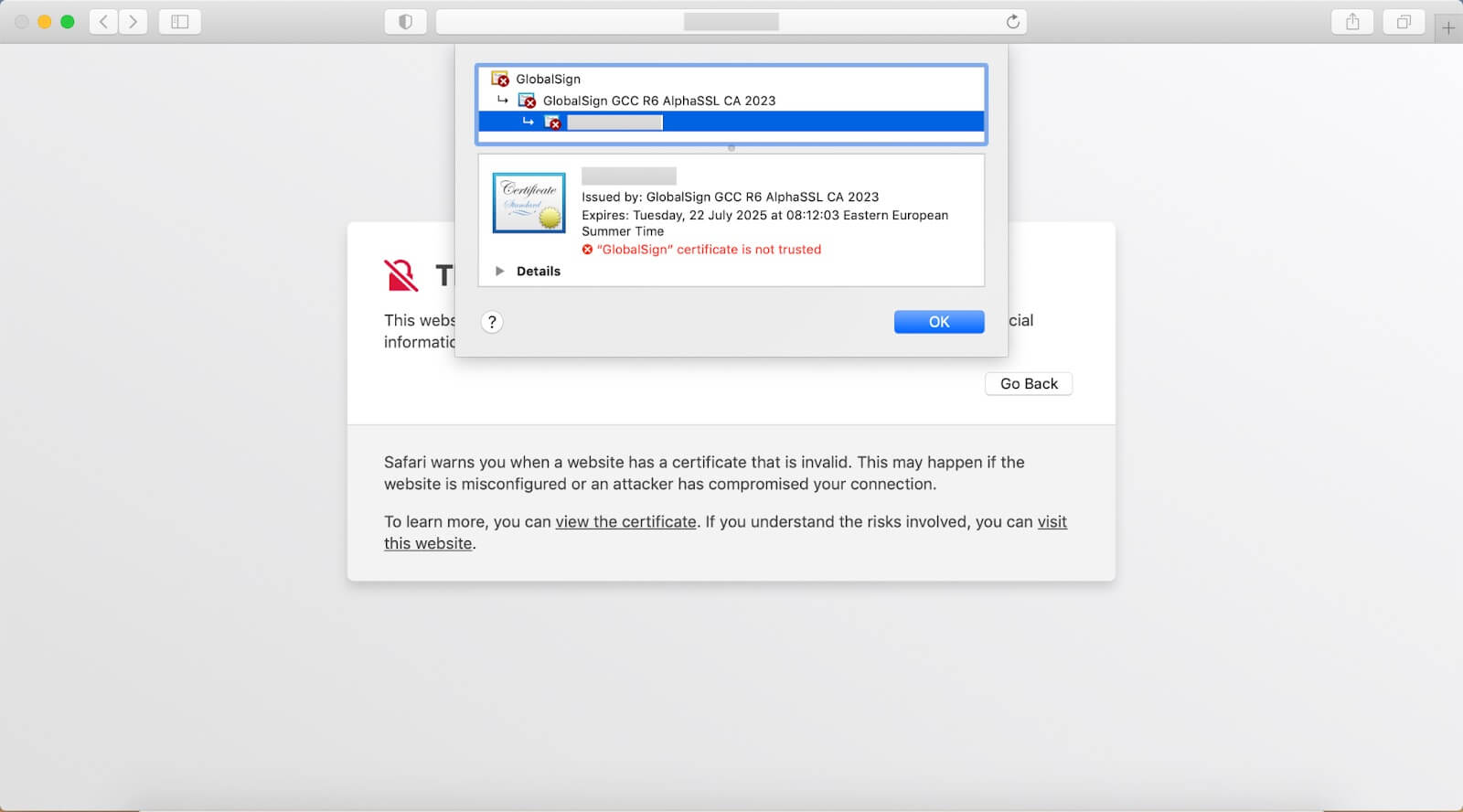 Capture d'écran montrant les détails du certificat SSL après avoir cliqué sur le bouton « afficher les détails du certificat »