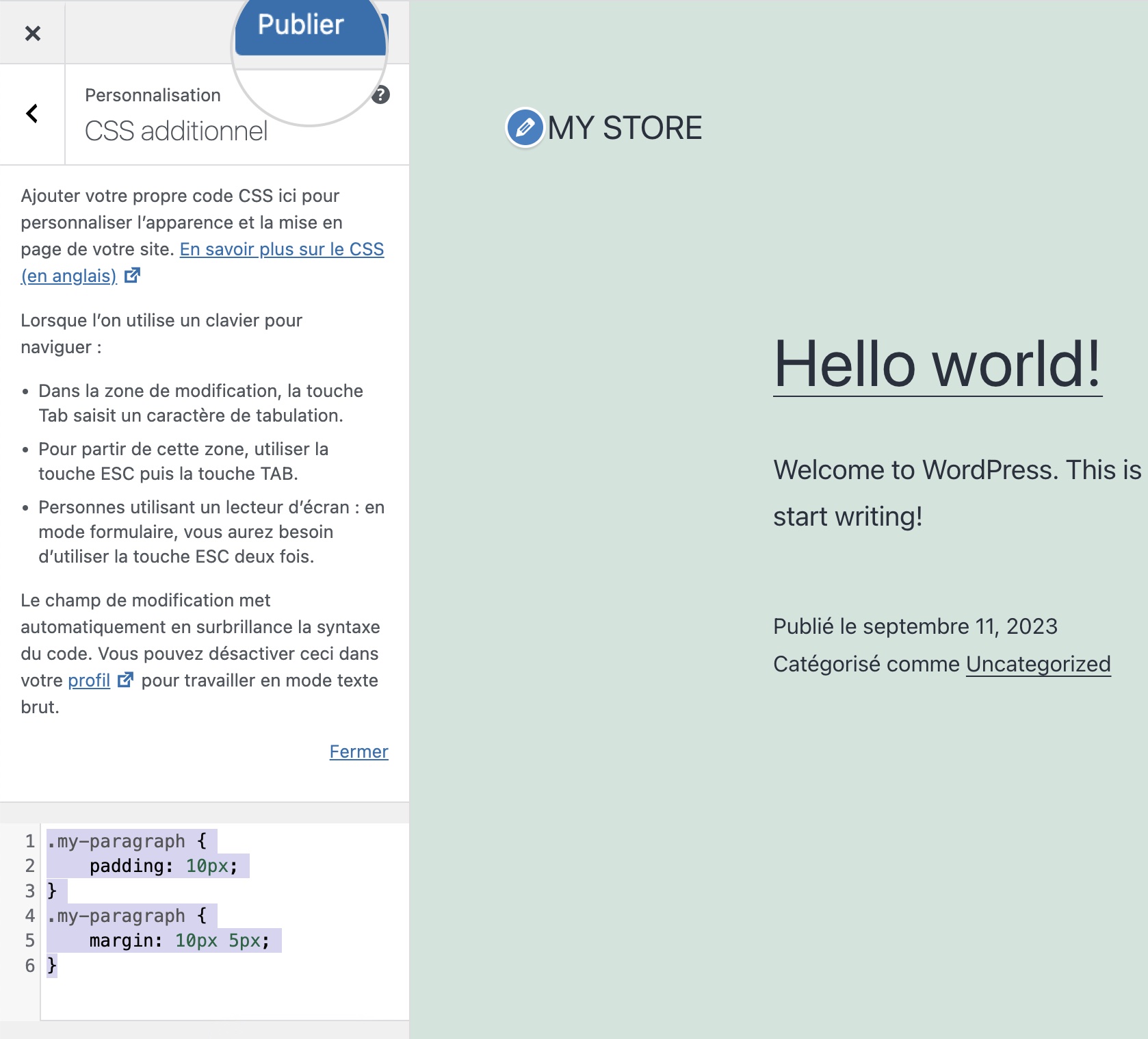 Ajout de marges et de padding aux paramètres CSS supplémentaires dans WordPress