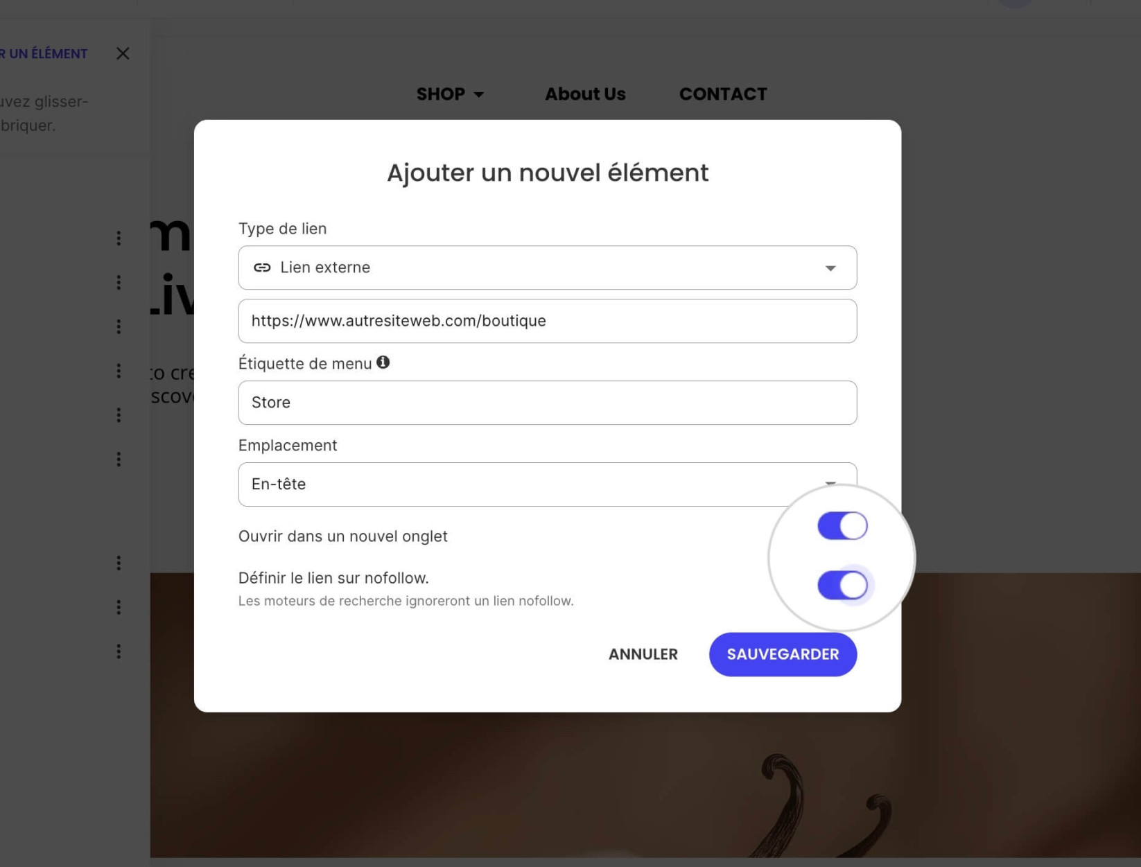Une fenêtre contextuelle pour ajouter des éléments de menu où les options « Ouvrir dans un nouvel onglet » et « Définir le lien sur No-Follow » sont activées