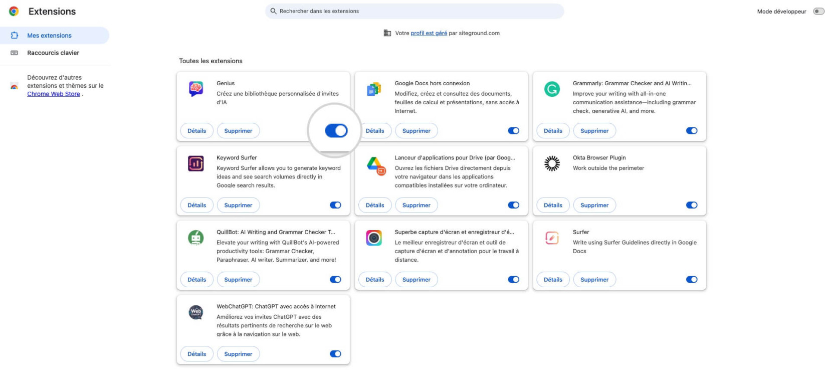 Capture d’écran de la page des extensions dans Chrome