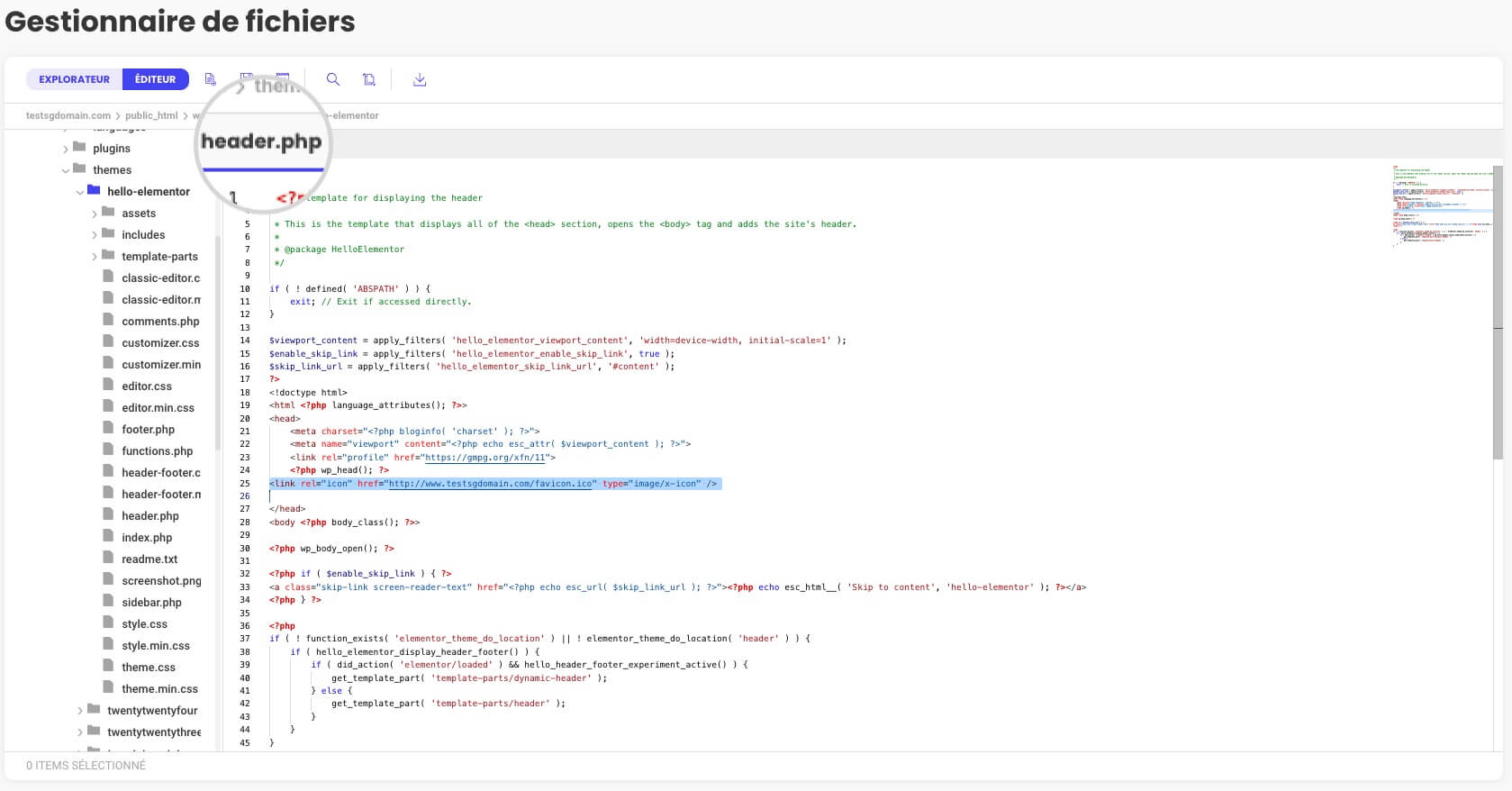 Capture d'écran montrant où ajouter le code Favicon dans le header.php de votre thème