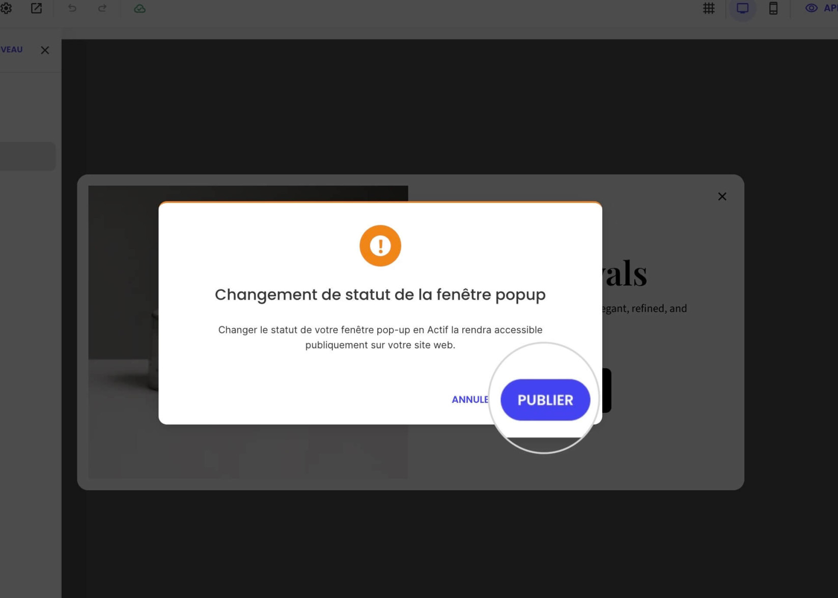 La boîte de dialogue de confirmation de changement de statut de popup avec les boutons Annuler et Publier