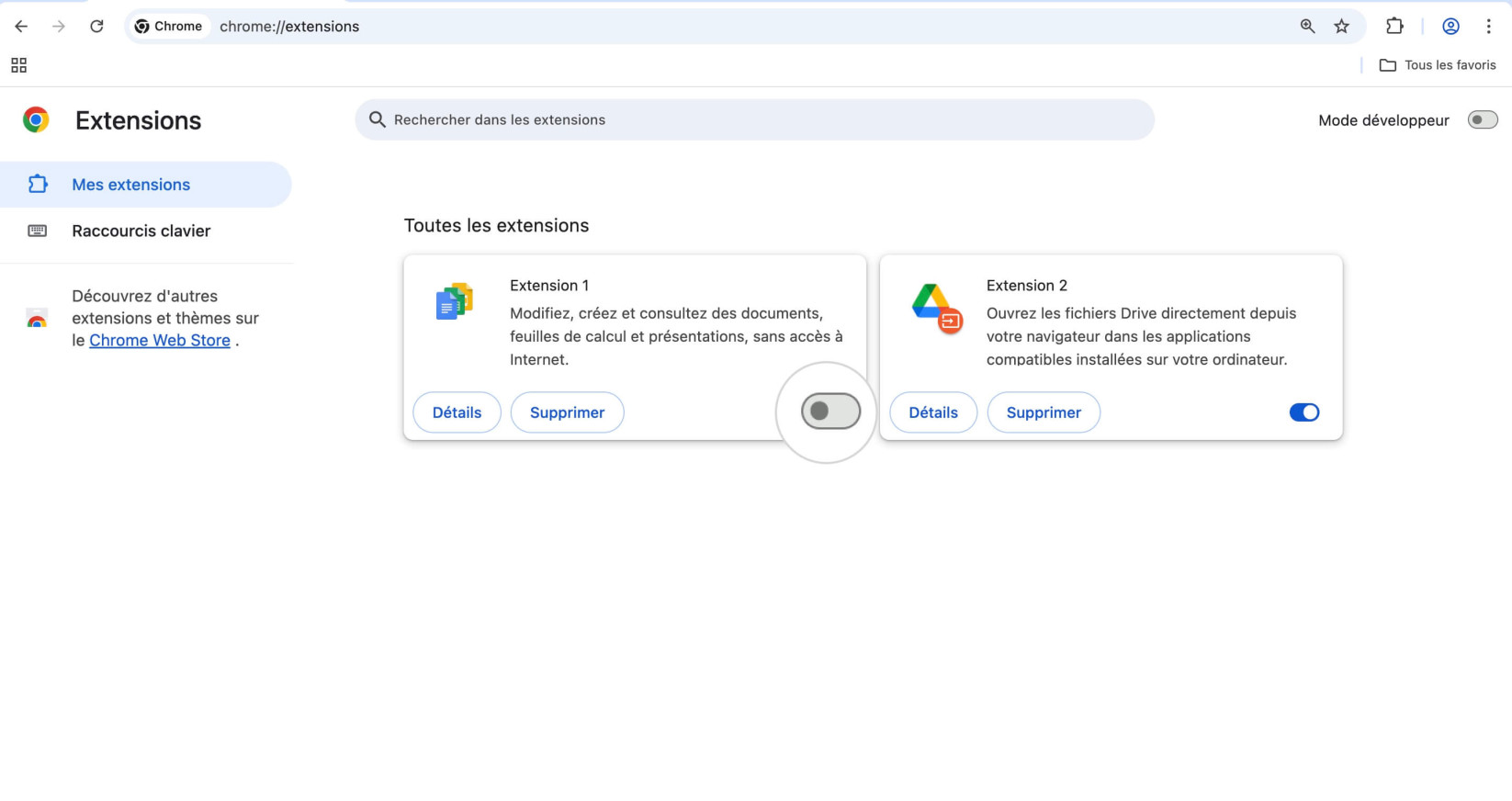 Paramètres des extensions de navigateur dans Google Chrome