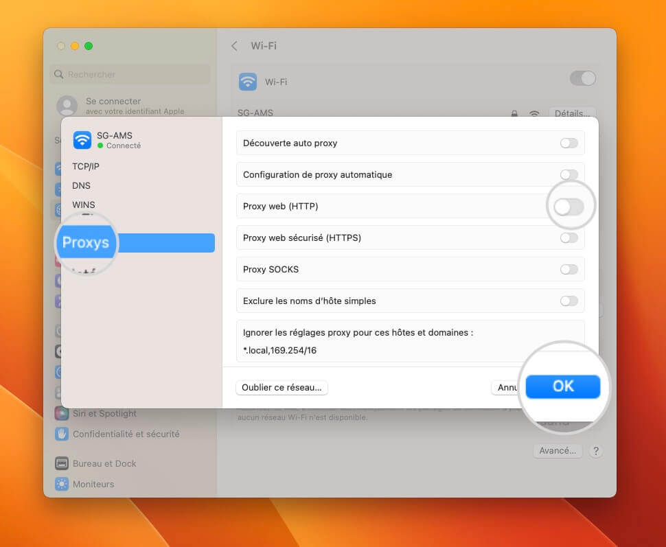 Section Proxys dans les détails du Réseau sur Mac