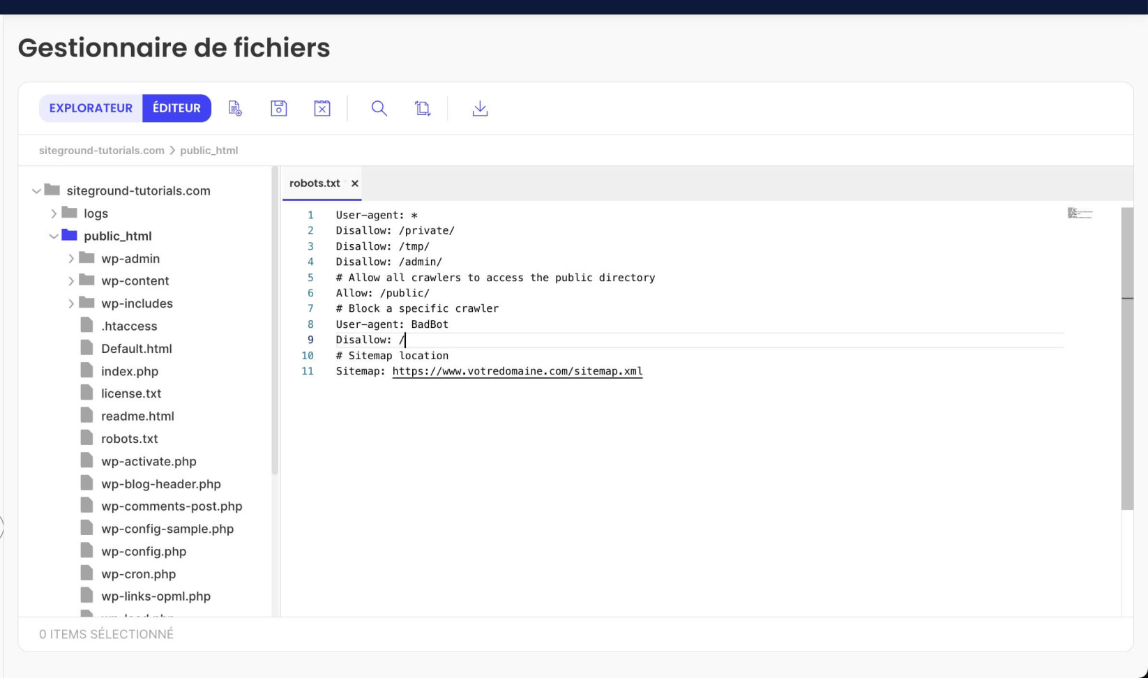Contenu d'un fichier robots.txt