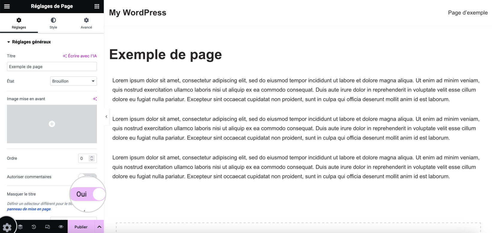 Capture d’écran montrant l’option Masquer le titre de la page dans Elementor