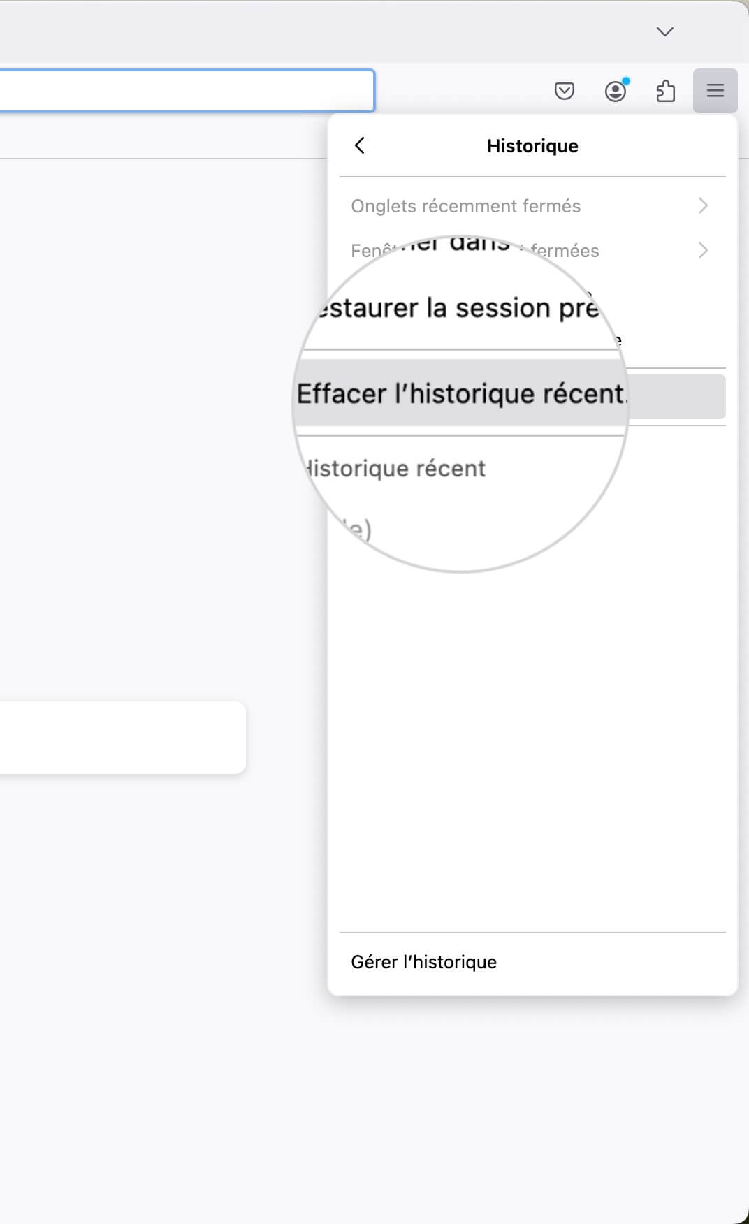 Effacer l’historique récent dans Firefox
