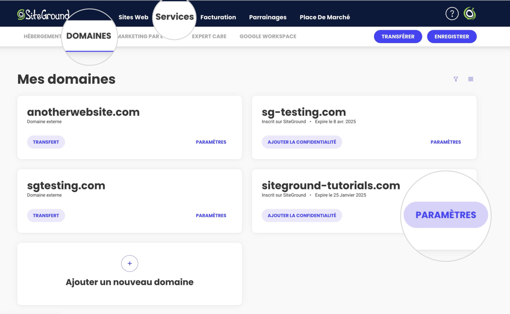 Paramètres de domaine dans la zone client de SiteGround