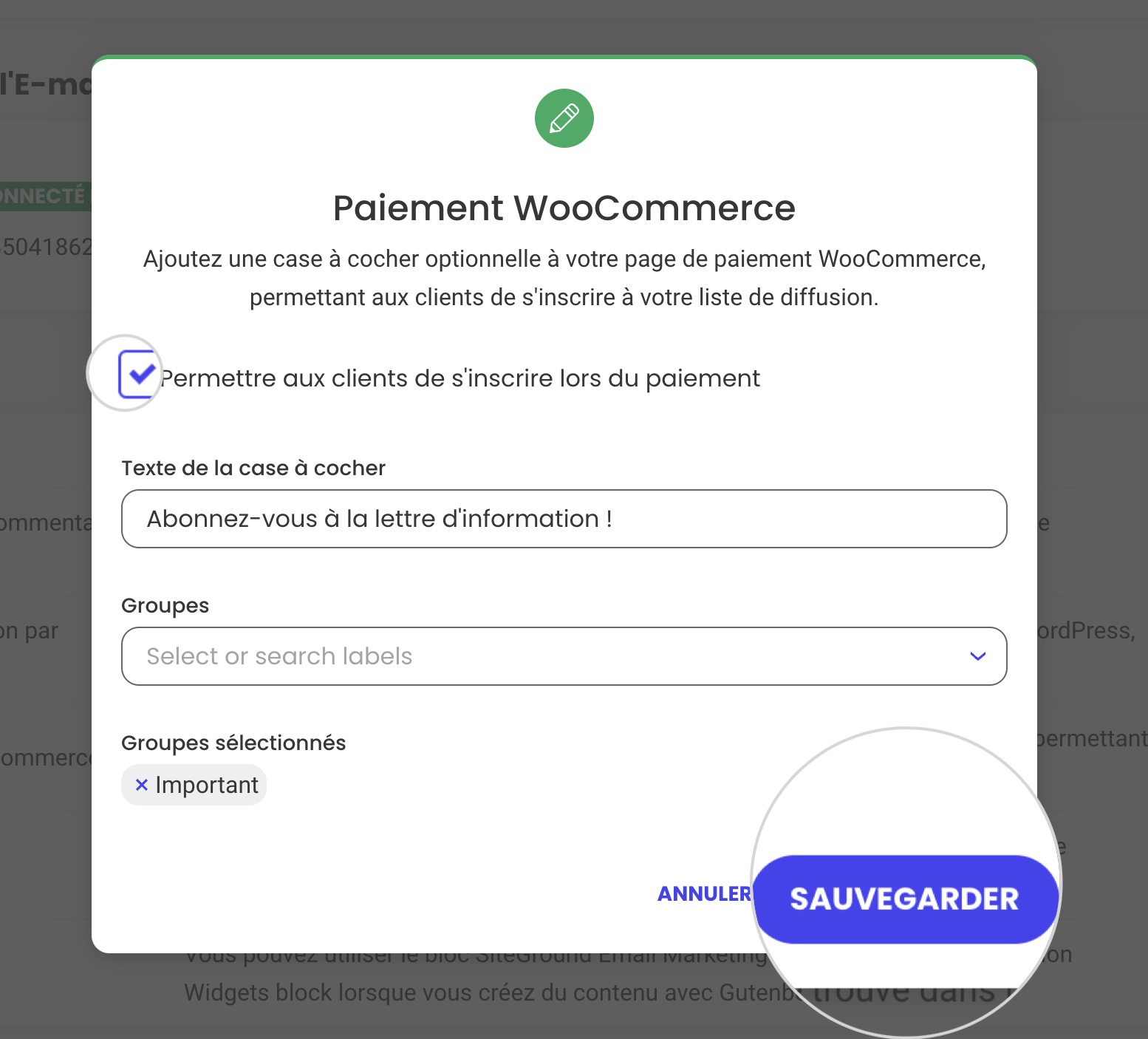 Comment confirmer l’ajout d’une case à cocher pour la lettre d’information sur une page de paiement WooCommerce