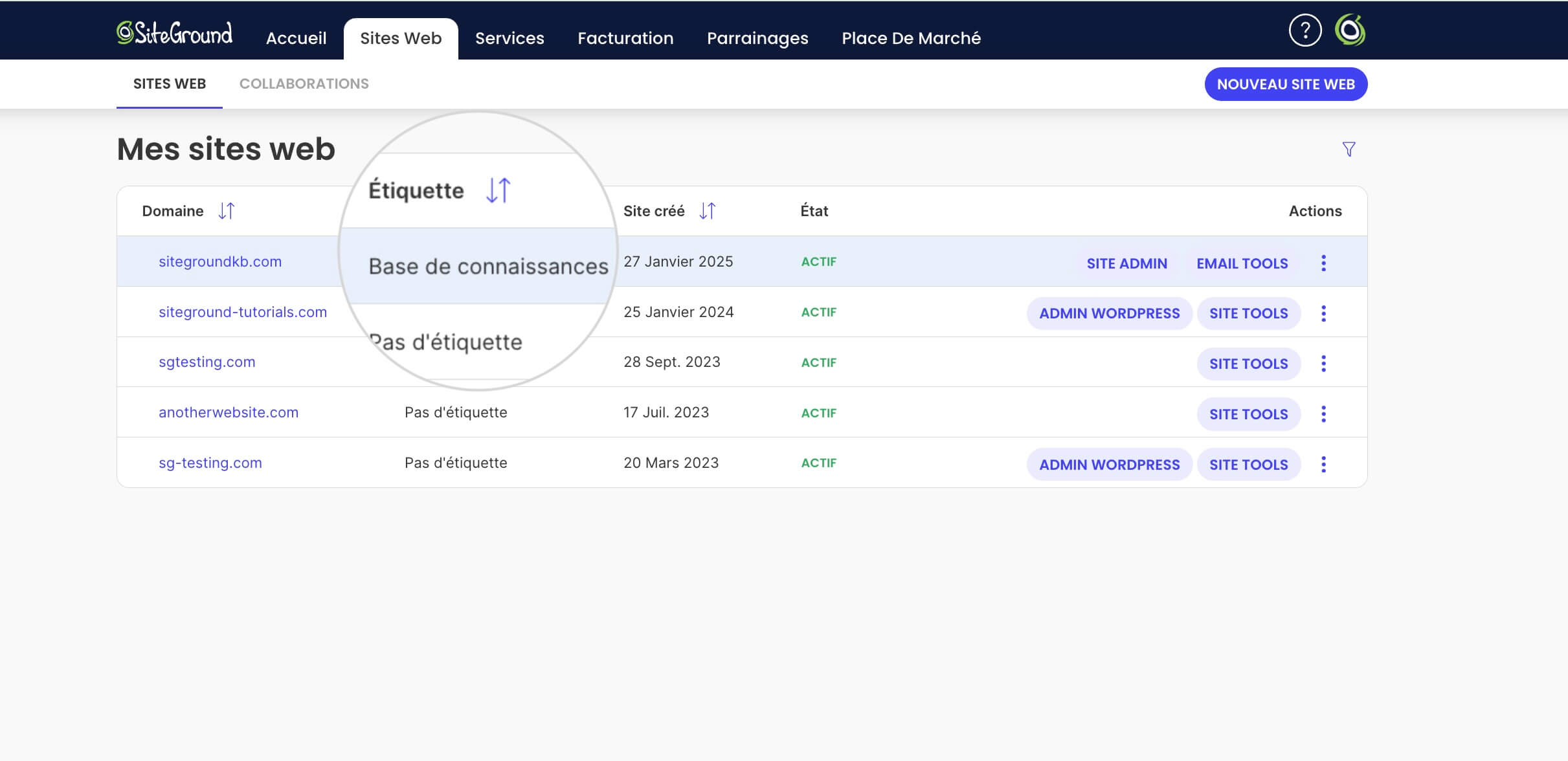 Étiquettes de site web dans l'Espace Client SiteGround