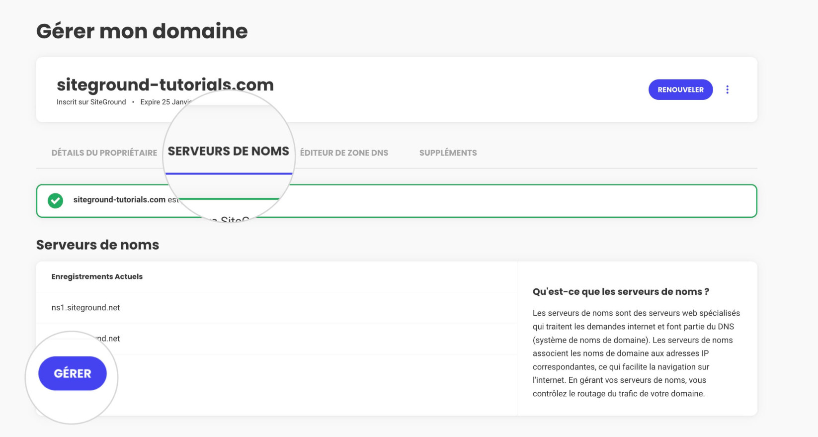 Section Serveurs de noms dans les paramètres de domaine dans la zone cliente SiteGround
