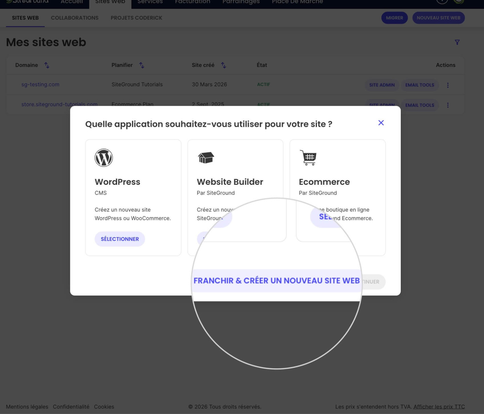 Assistant de nouveau site web avec une option Franchir & créer un nouveau site web sélectionnée