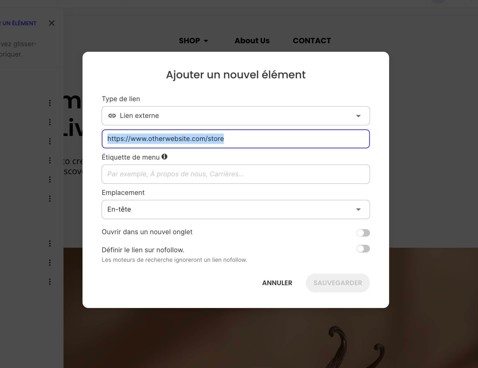 Une fenêtre contextuelle pour ajouter un élément de menu avec le type de lien Lien externe sélectionné