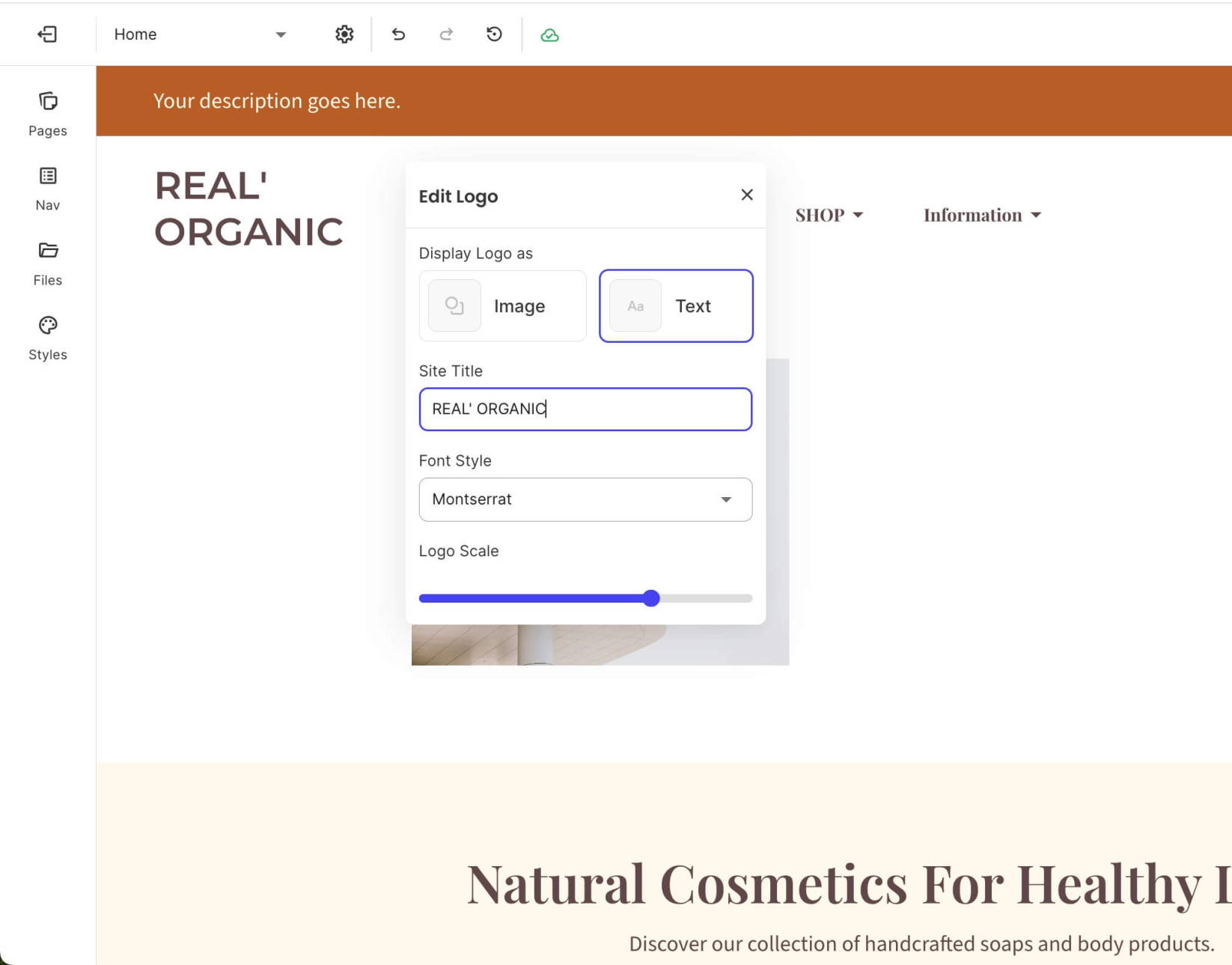 Logo settings window displaying the text logo options