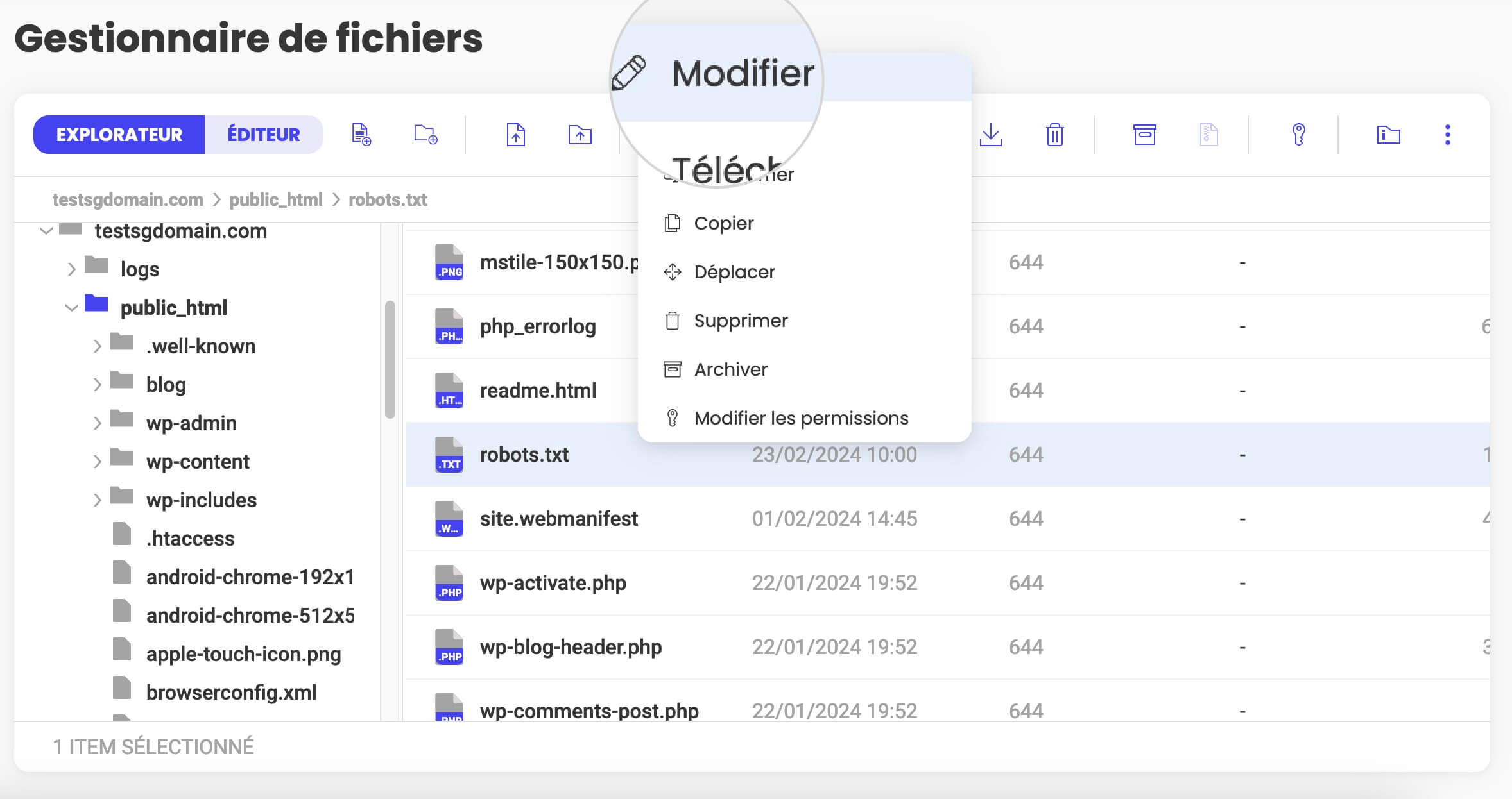 Modification du fichier WordPress robots.txt directement dans le gestionnaire de fichiers.
