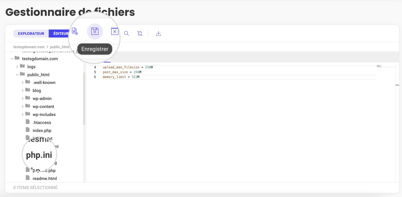 Capture d'écran de la variable upload_max_filesize définie dans le php.ini via le gestionnaire de fichiers