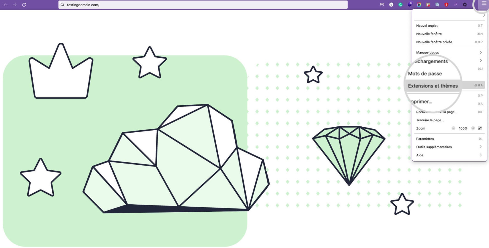 Capture d’écran de l’option Modules et thèmes dans les paramètres de Mozilla Firefox