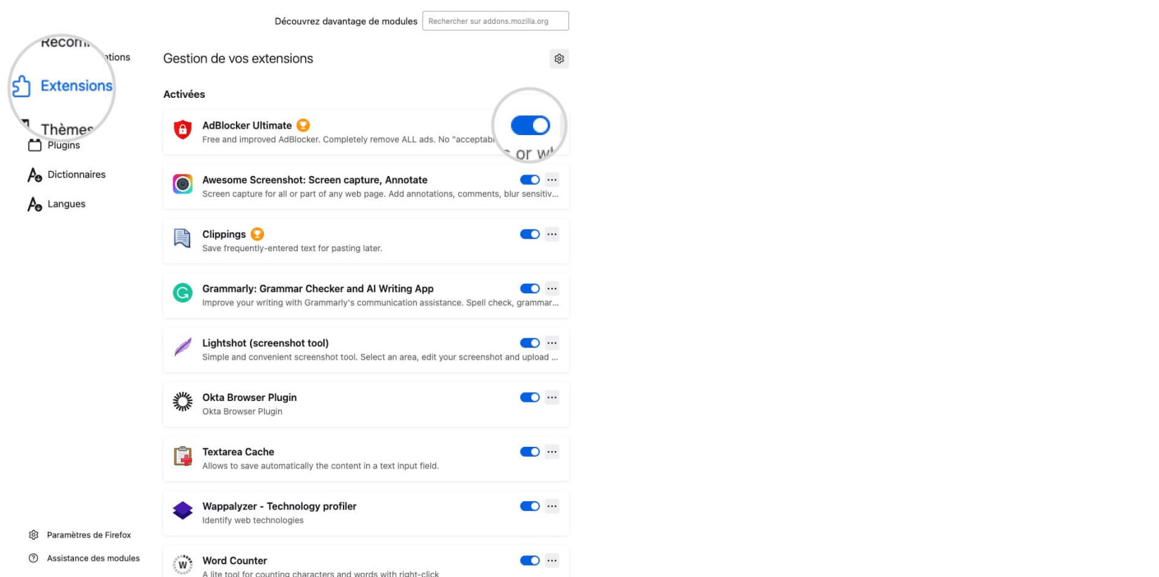 Capture d'écran de la page des extensions dans Mozilla Firefox