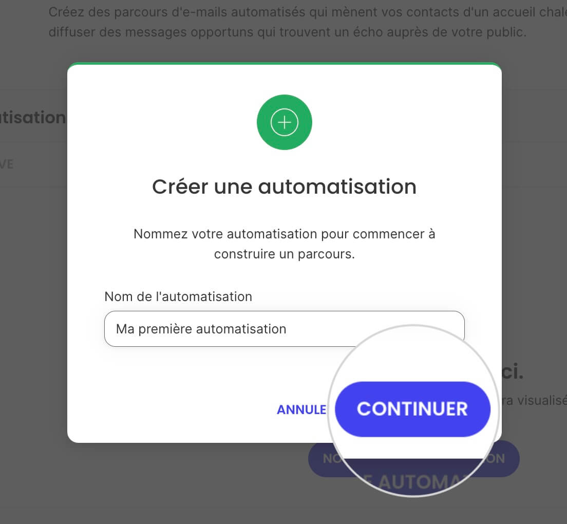 Nom de l'automatisation dans le Marketing par e-mail 