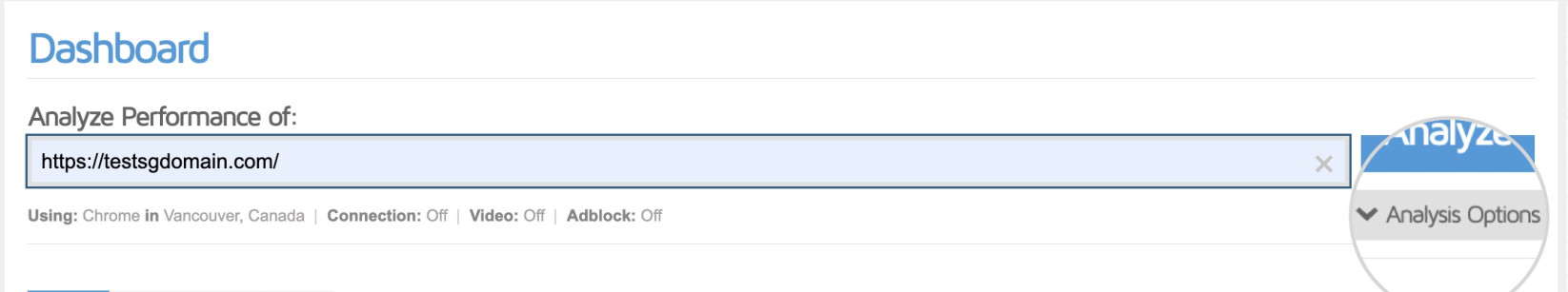 Capture d'écran du bouton Options d'analyse dans GTmetrix