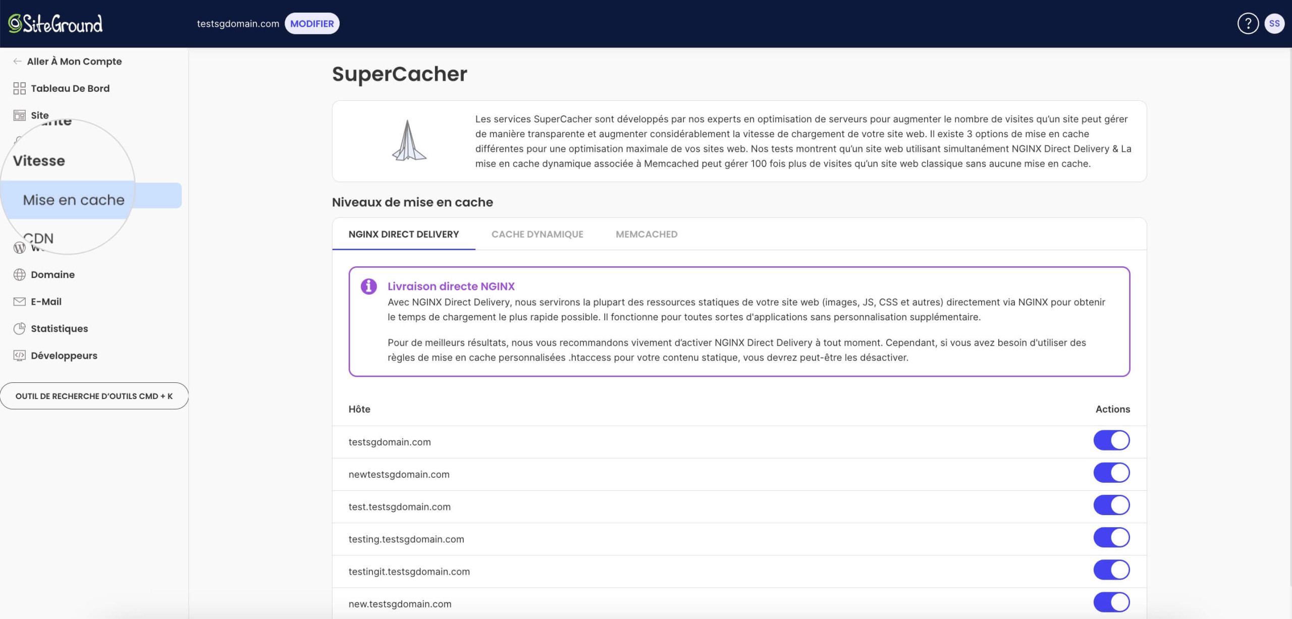 Une capture d'écran de la mise en cache de NginX Direct Delivery dans les outils du site