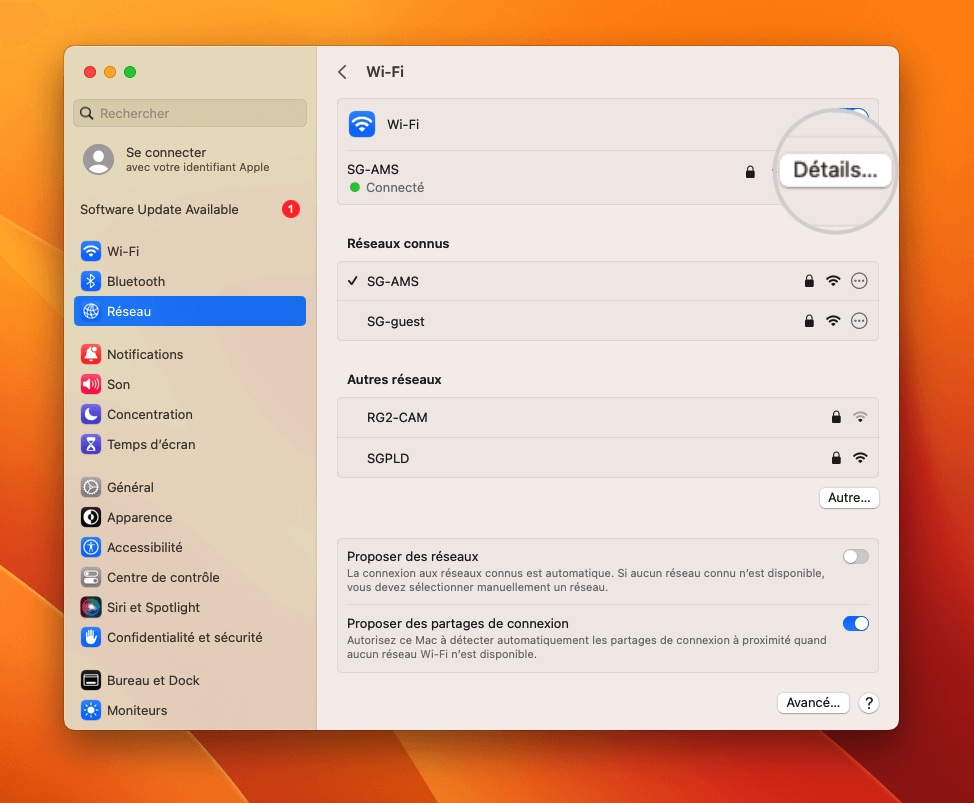 Ouvrez la page Détails de votre connexion pour désactiver les serveurs proxy