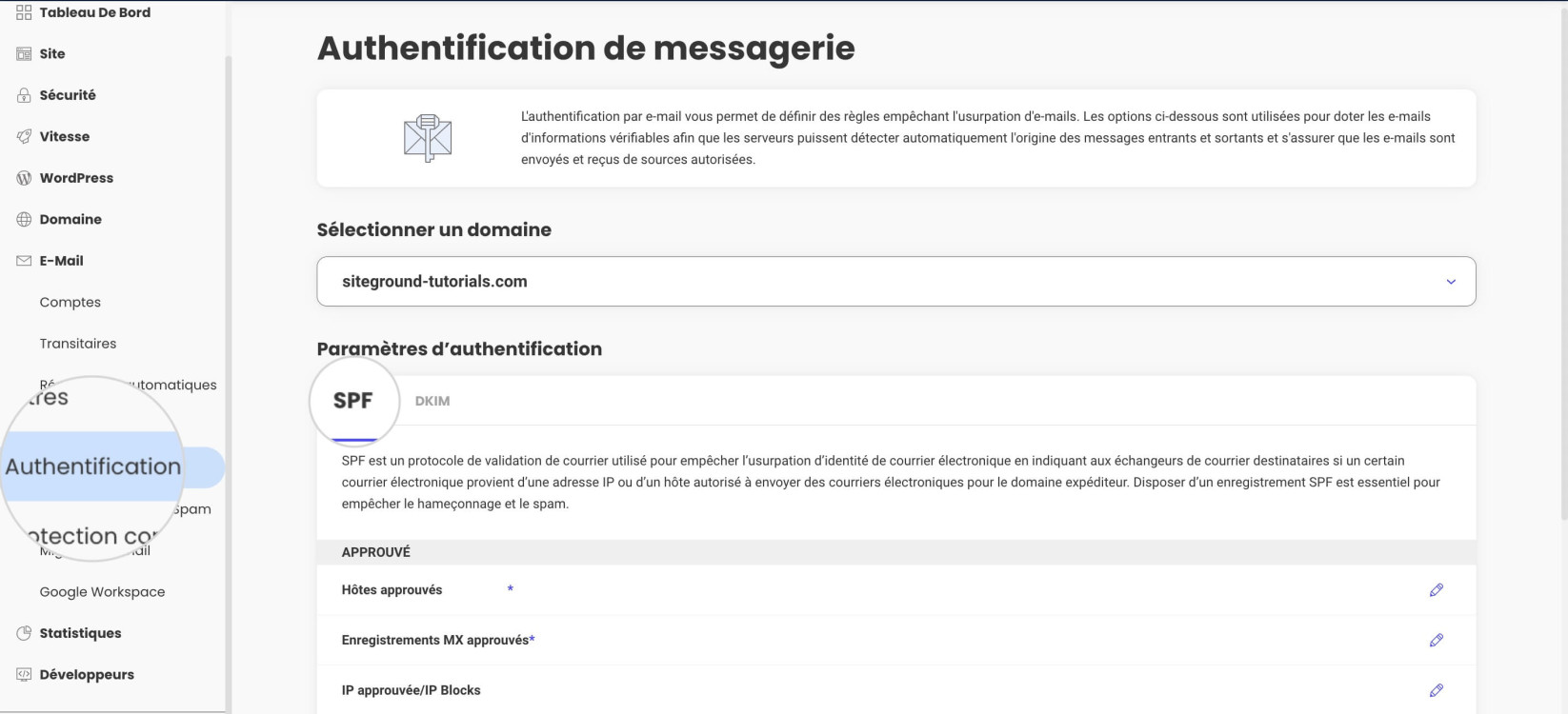 Gérez votre enregistrement SPF à partir de la section Authentification par e-mail dans Site Tools