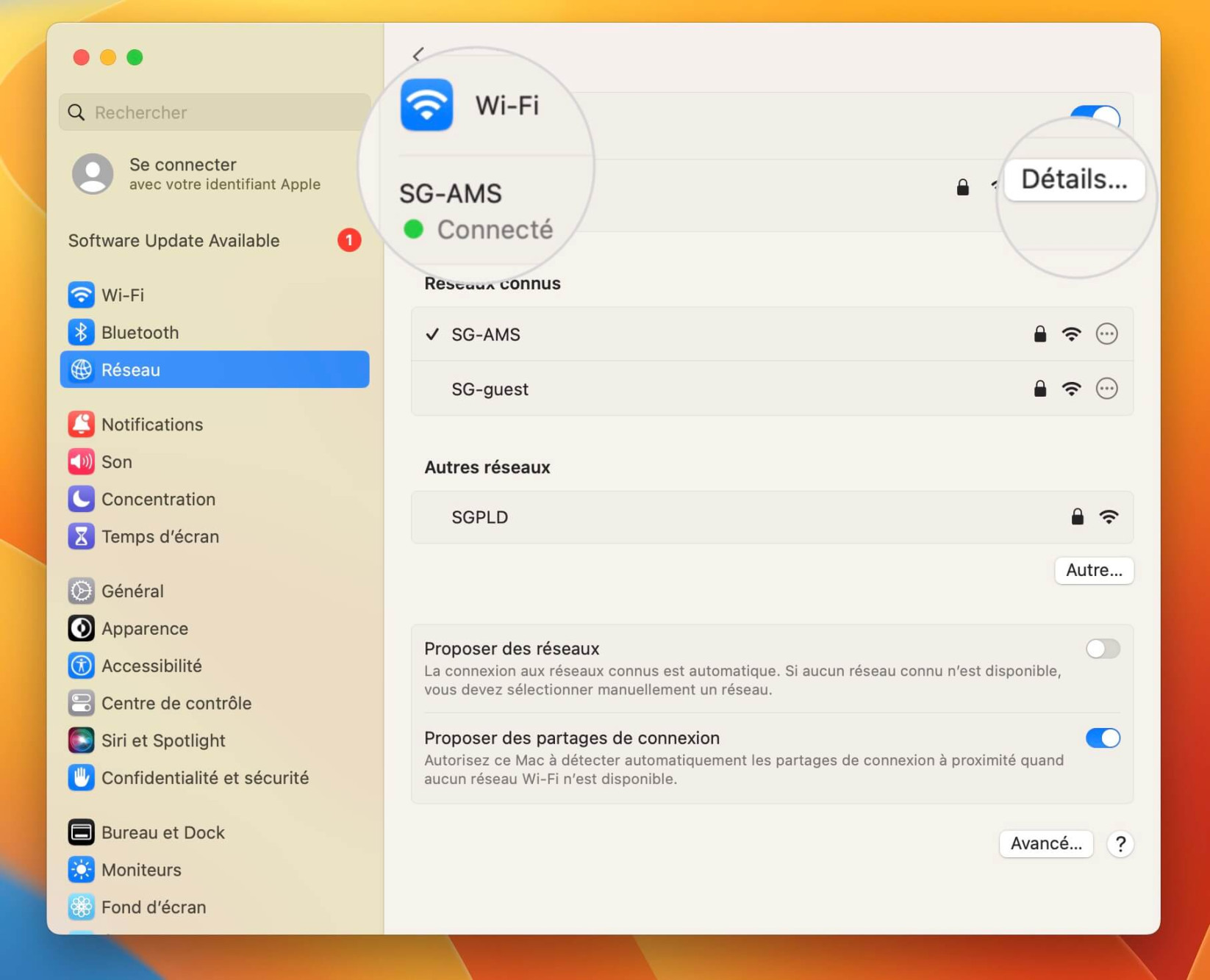 Ouvrez les paramètres avancés du réseau sur Mac pour renouveler l'IP