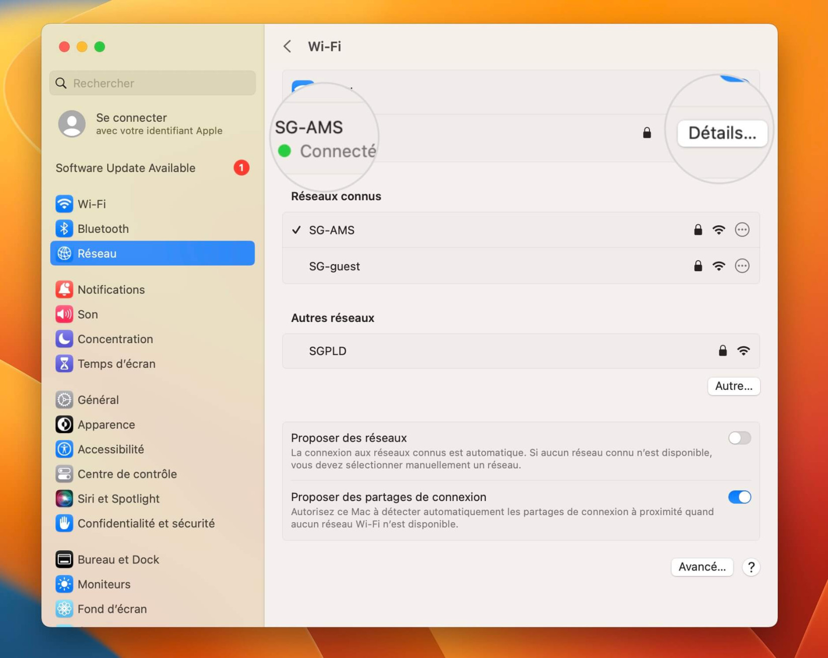 Ouvrez les paramètres avancés du réseau sur Mac pour modifier les serveurs DNS