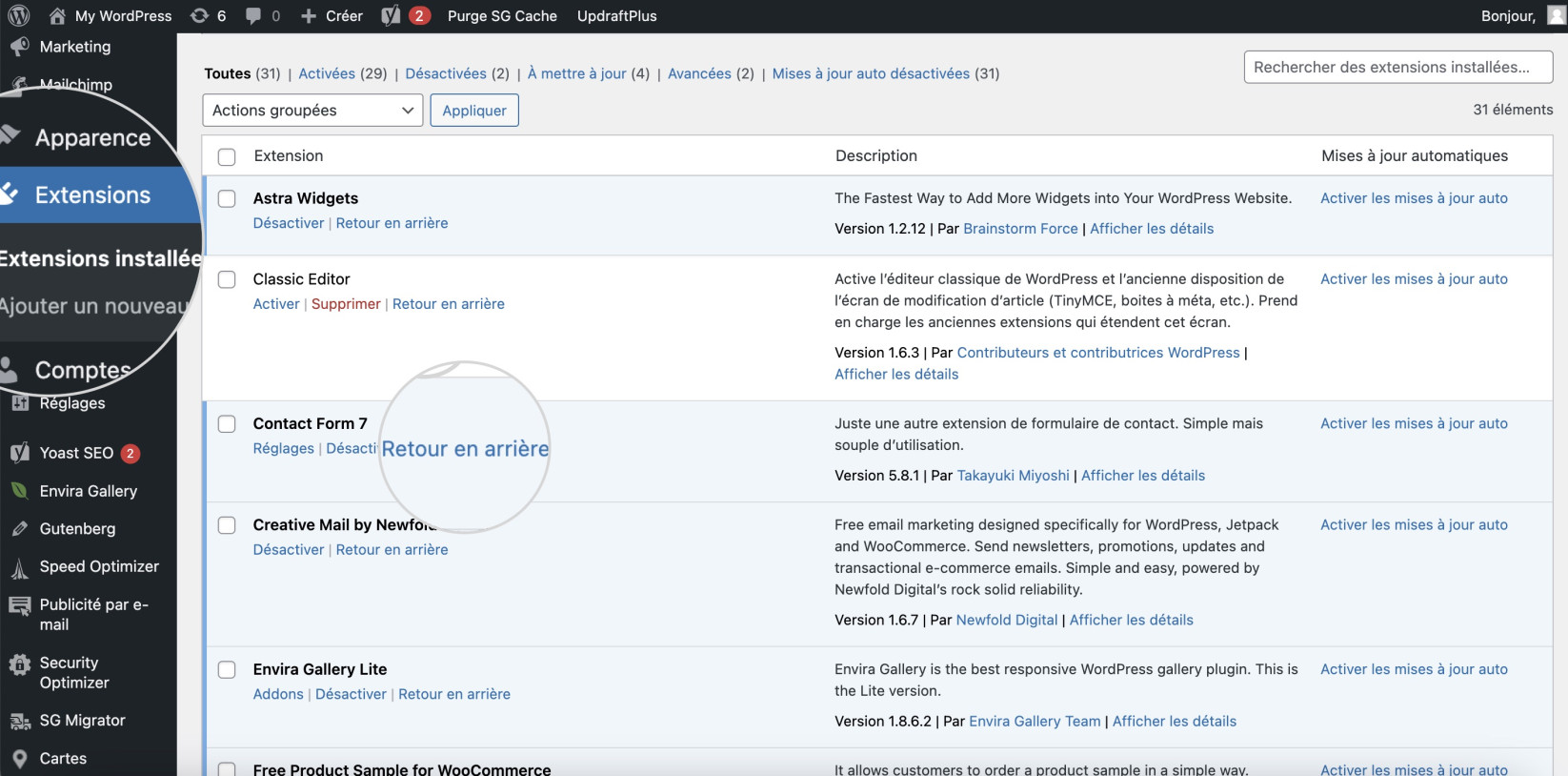 Capture d’écran illustrant comment annuler une mise à jour de plugin avec le plugin WP Rollback
