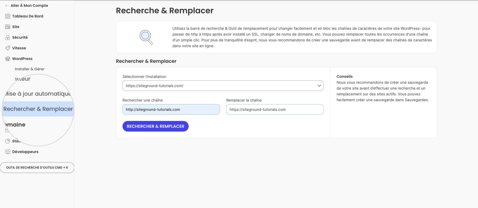 "Recherche et remplacement de WordPress" dans Site Tools