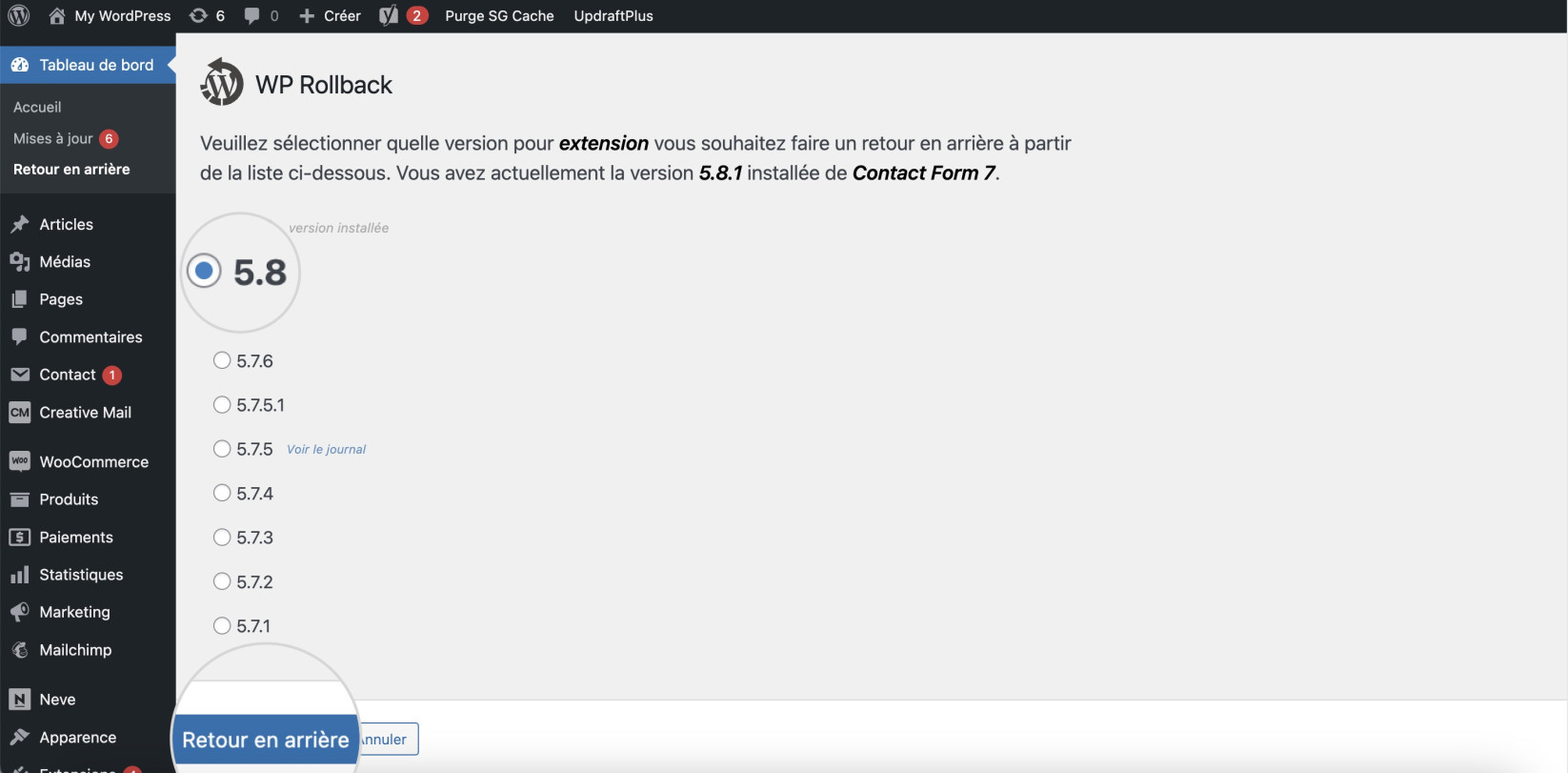 Capture d’écran montrant la sélection d’une version préférée à utiliser pour revenir à la version précédente avec le plugin WP Rollback