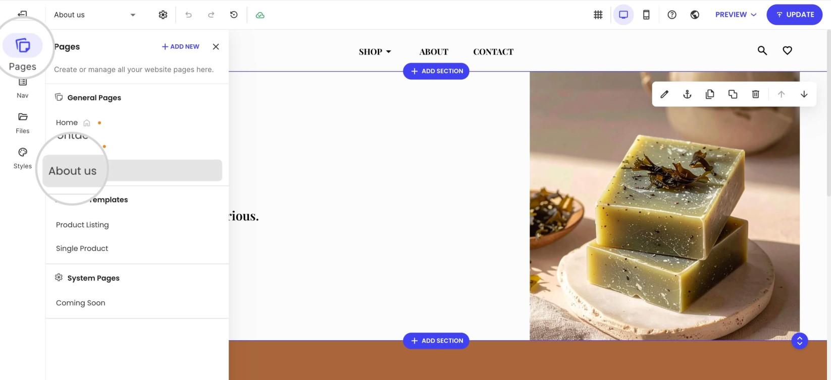 Pages tab in Website Builder with a selected page 