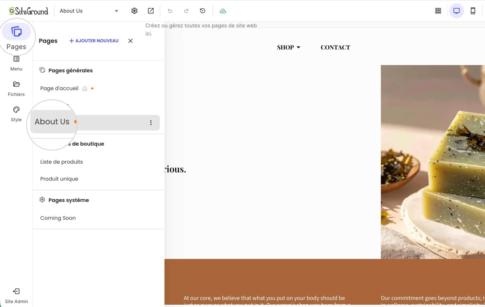 Sélection d'une page dans le Website Builder où l'en-tête sera transparent