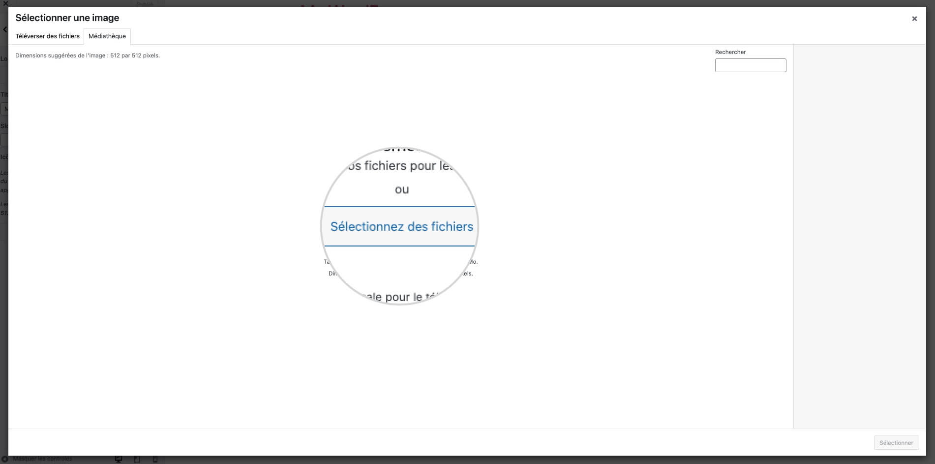 Capture d'écran montrant l'option Sélectionner les fichiers pour télécharger un Favicon WordPress
