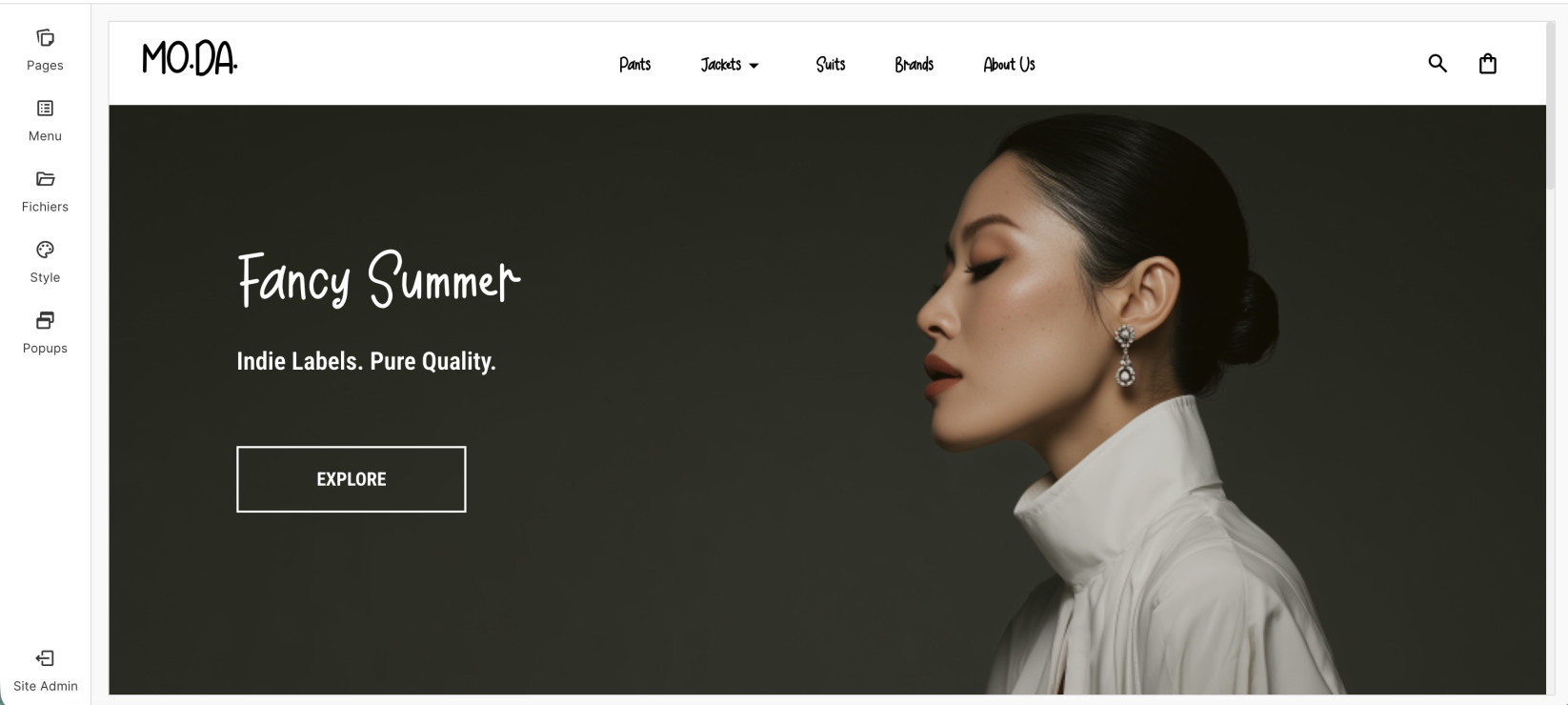 Styles du site global
