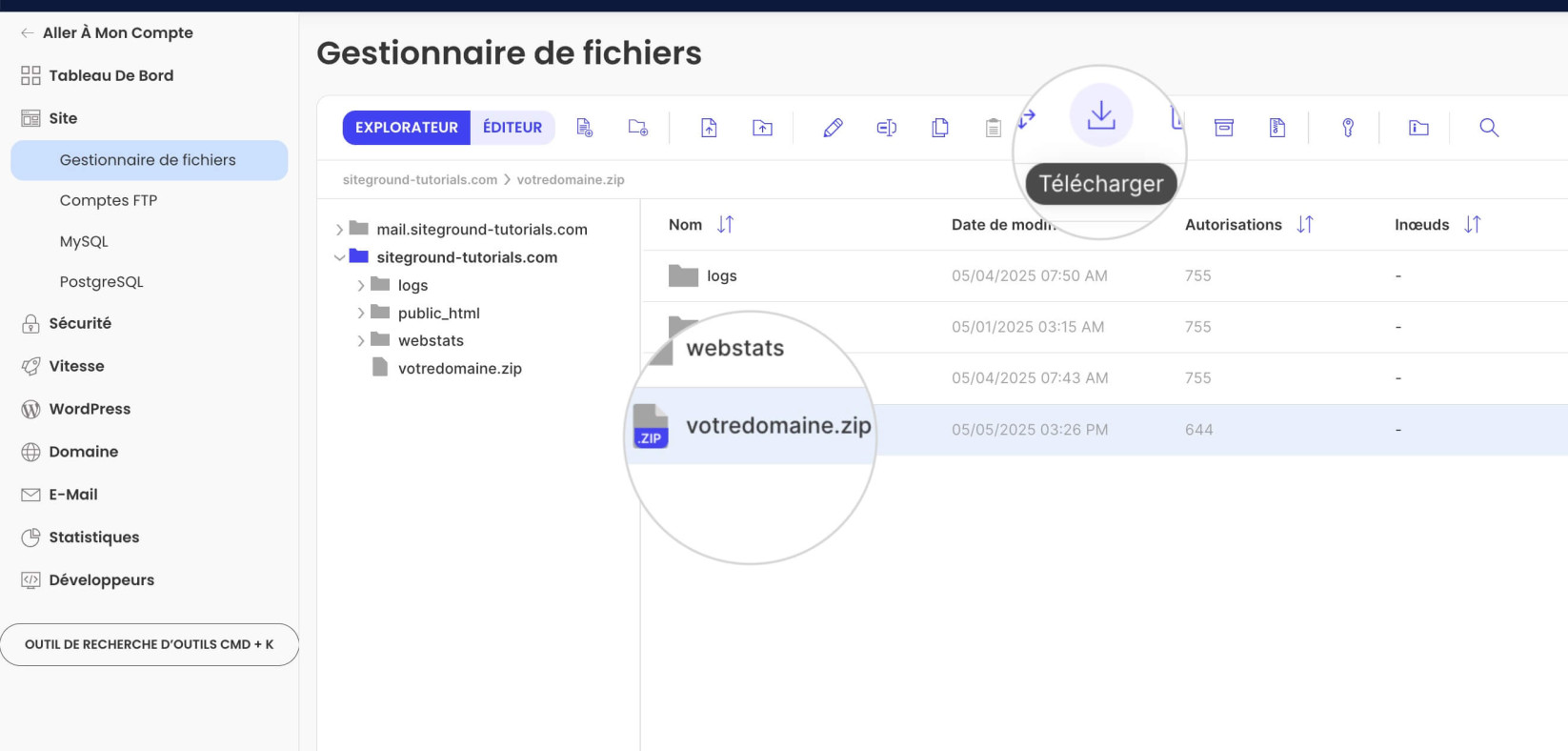 Téléchargement d'une sauvegarde de site web