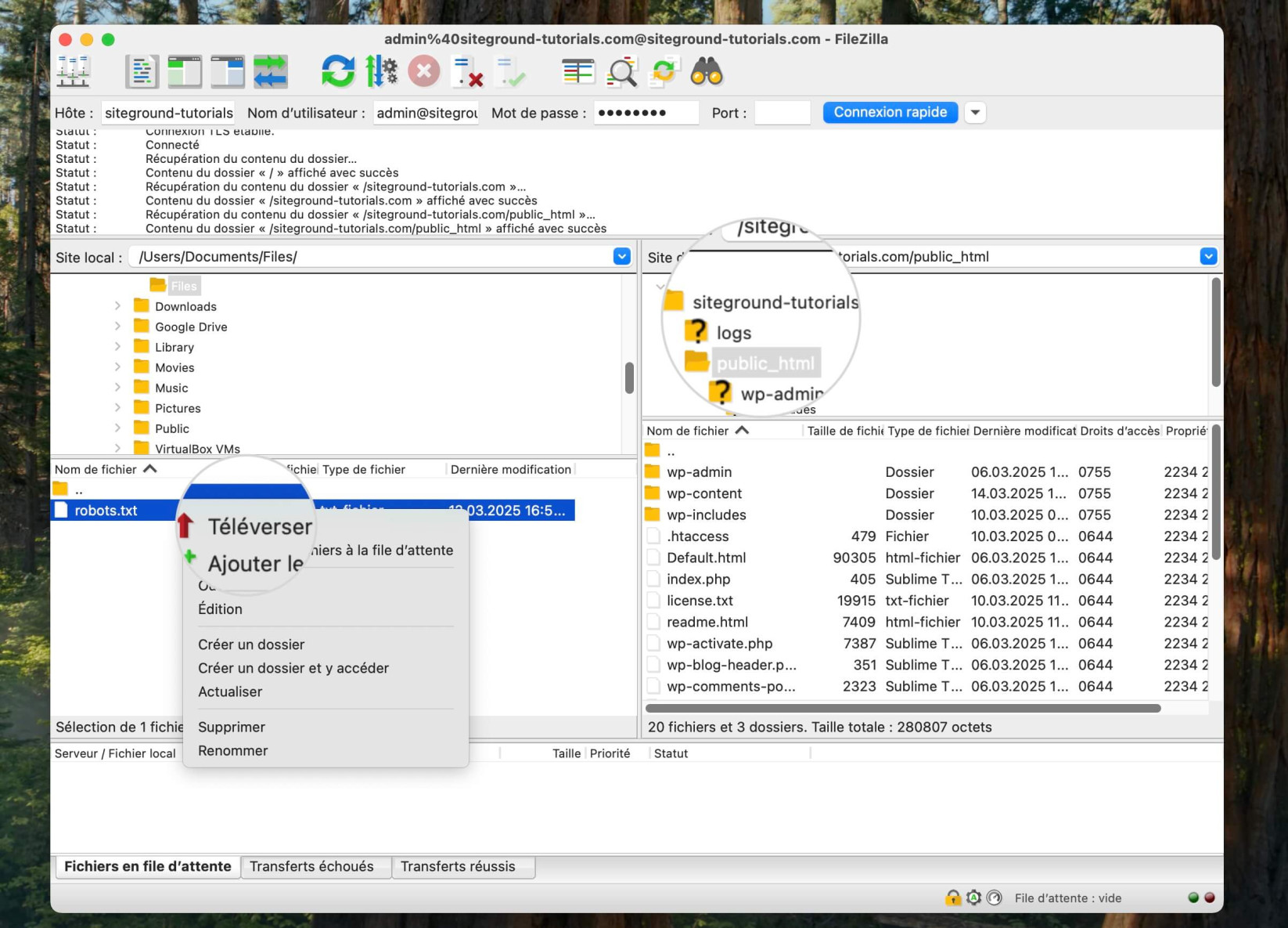 Télécharger un fichier robots.txt avec un client FTP