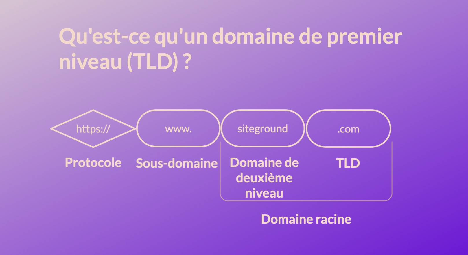 Une infographie illustrant ce qu'est un domaine de premier niveau