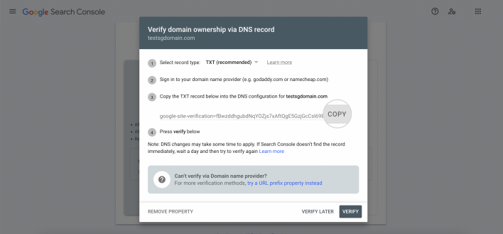 Copy the TXT record to verify your domain
