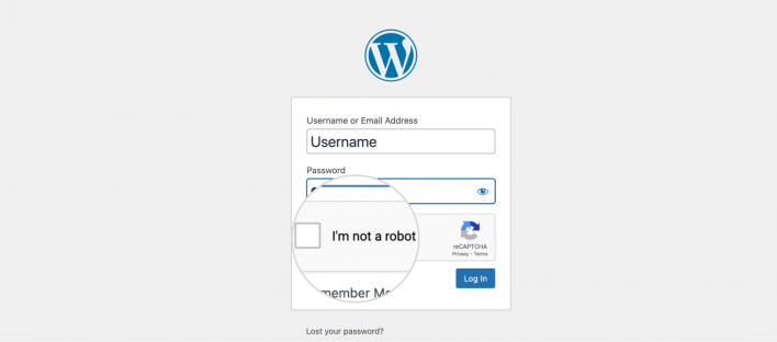 WordPress Admin Login Captcha