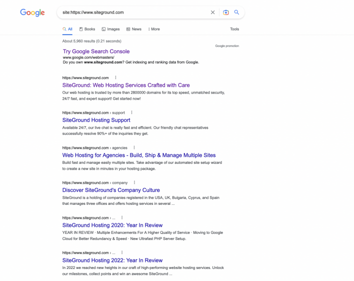 A site indexed by Google